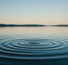 Concentric ripples on a calm lake