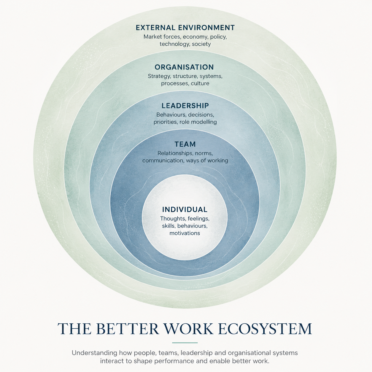 Diagram showing The Better Work Ecosystem